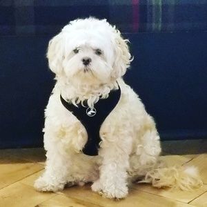 Meet your Posher, Karen